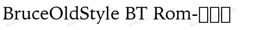 BruceOldStyle BT Rom字体转换